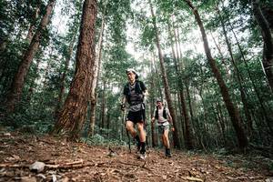 BIB: 
                            <button type="button" onclick="openModal(25261311)" class="btn btn-primary btn-sm float-right btn-popup" data-toggle="modal" data-target=".modal-high-quality">
                        <i class="fas fa-shopping-cart"></i> Add to Cart
                    </button>
                                            <button type="button" onclick="isThisMe(25261311, true)" class="btn btn-success btn-sm float-right btn-popup btn-isme hidden" data-toggle="tooltip" data-placement="bottom" title="นี่คือรูปของคุณใช่ไหม คลิกที่นี่เพื่อเอาเข้าอัลบั้ม">
                        <i class="fas fa-plus"></i> Add to album
                    </button>
                    <button type="button" onclick="isThisMe(25261311, false)" class="btn btn-warning btn-sm float-right btn-popup btn-isnotme hidden">
                        <i class="fas fa-ban"></i> Remove from album
                    </button>